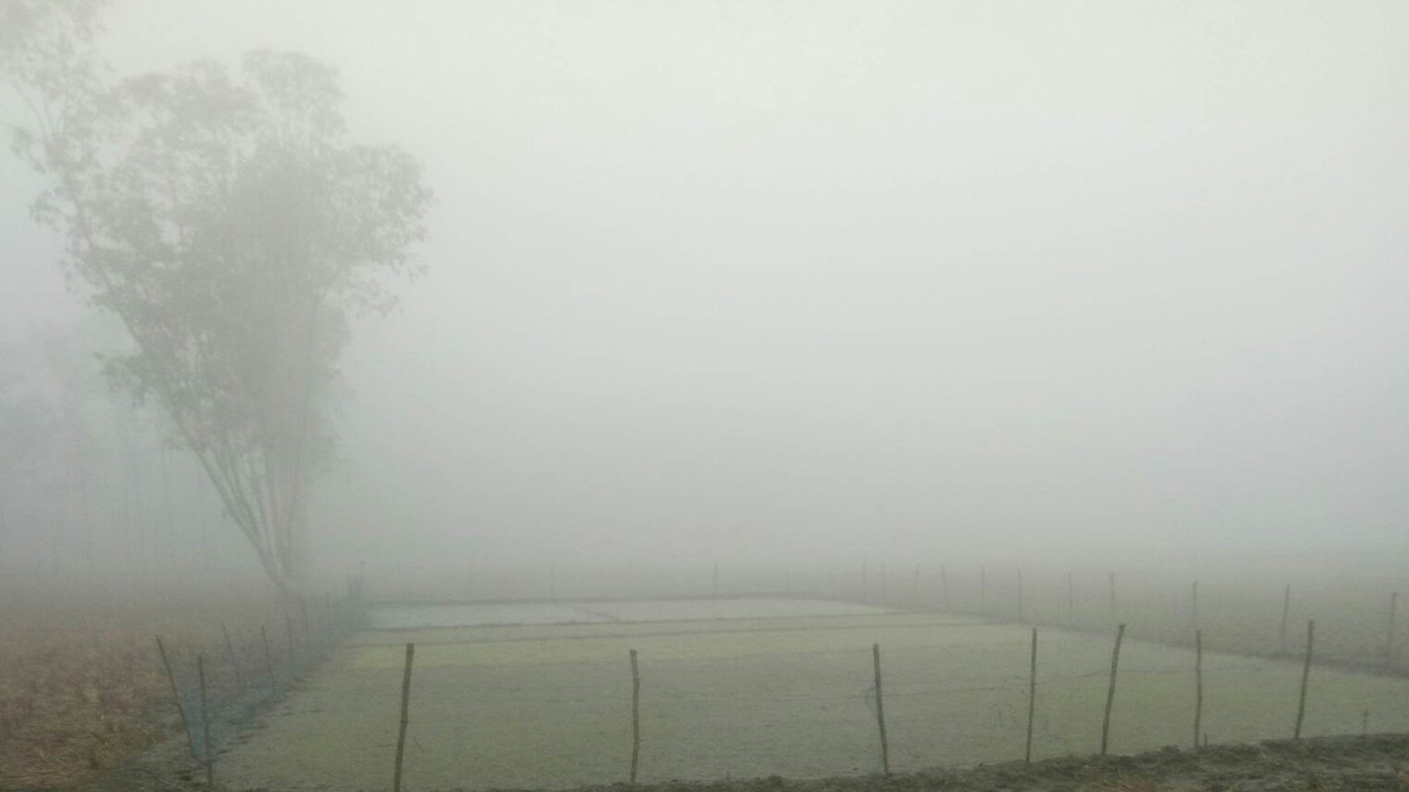 তীব্র শীতে লালমনিরহাটে বেড়েছে রোগের প্রার্দুভাব